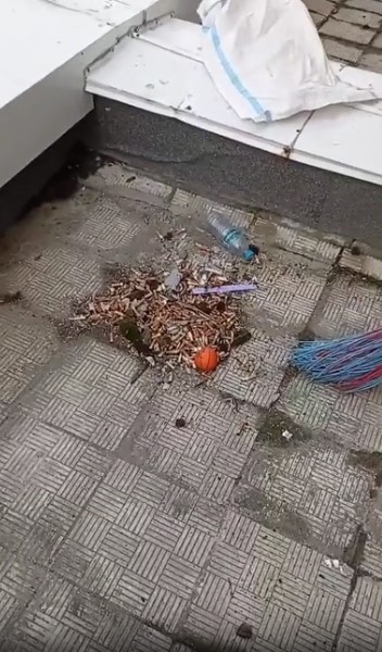 Кровля уборка 2 .jpg