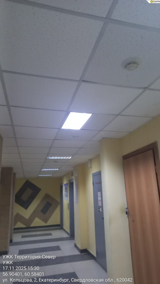 Изображение WhatsApp 2025-11-18 в 11.28.46_cf8280ed.jpg