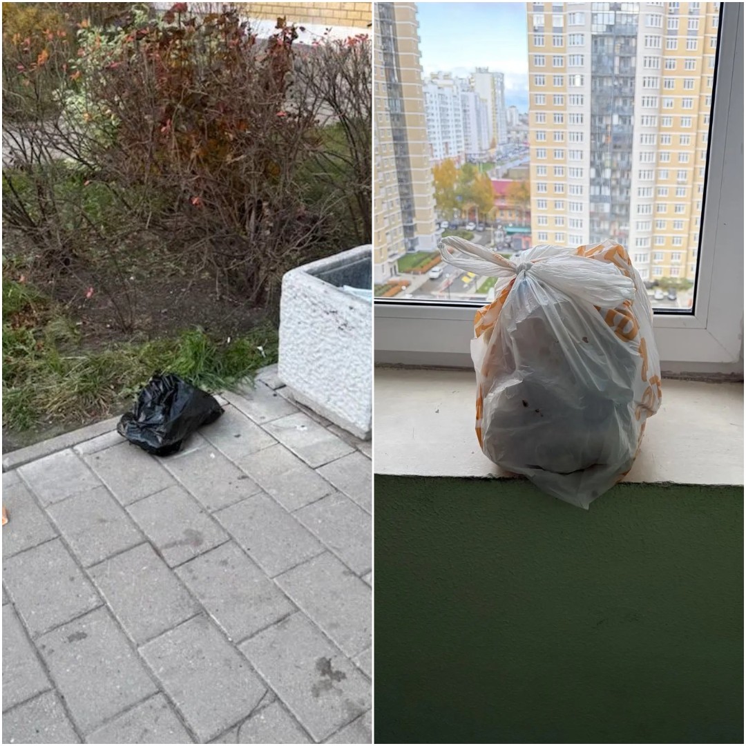mycollages-2026-10-27_09-52-16.jpg