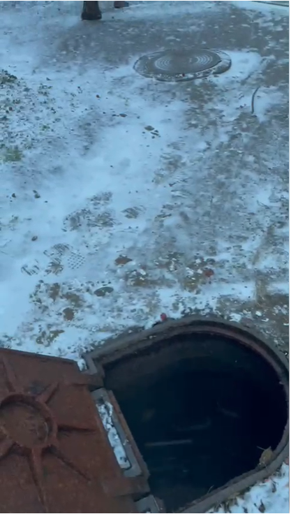 Засор парниковая.png