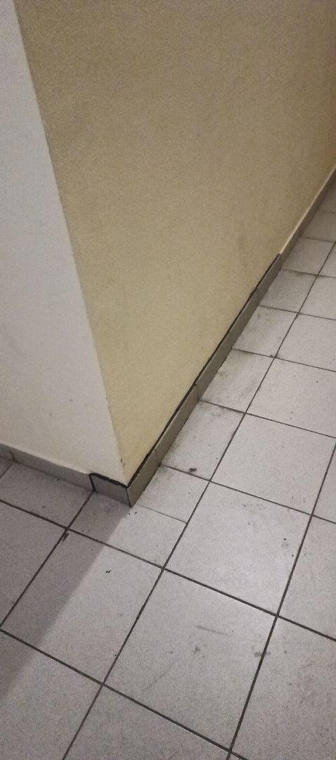 mobile_file_2026-01-28_08-09-17 (2) (1).jpg