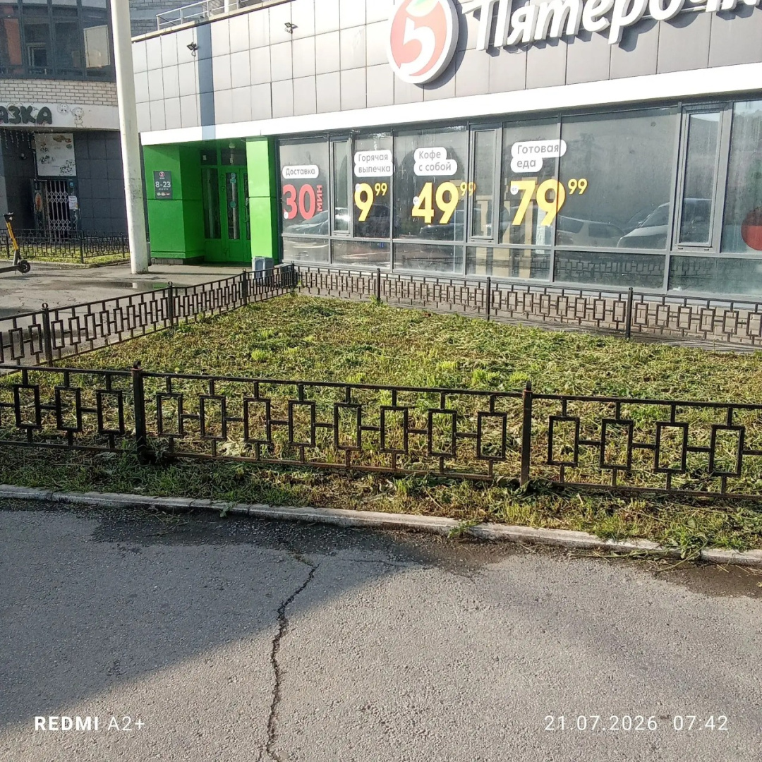 скос травы 21.07 (6).png