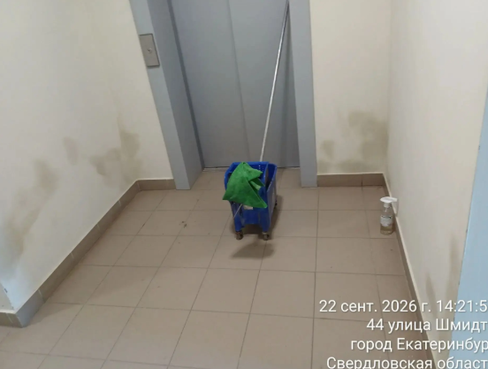 Screenshot_203.png