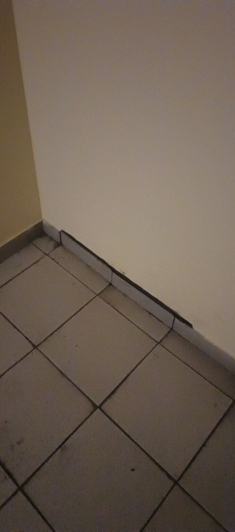 mobile_file_2026-01-28_08-09-17 (1) (1).jpg