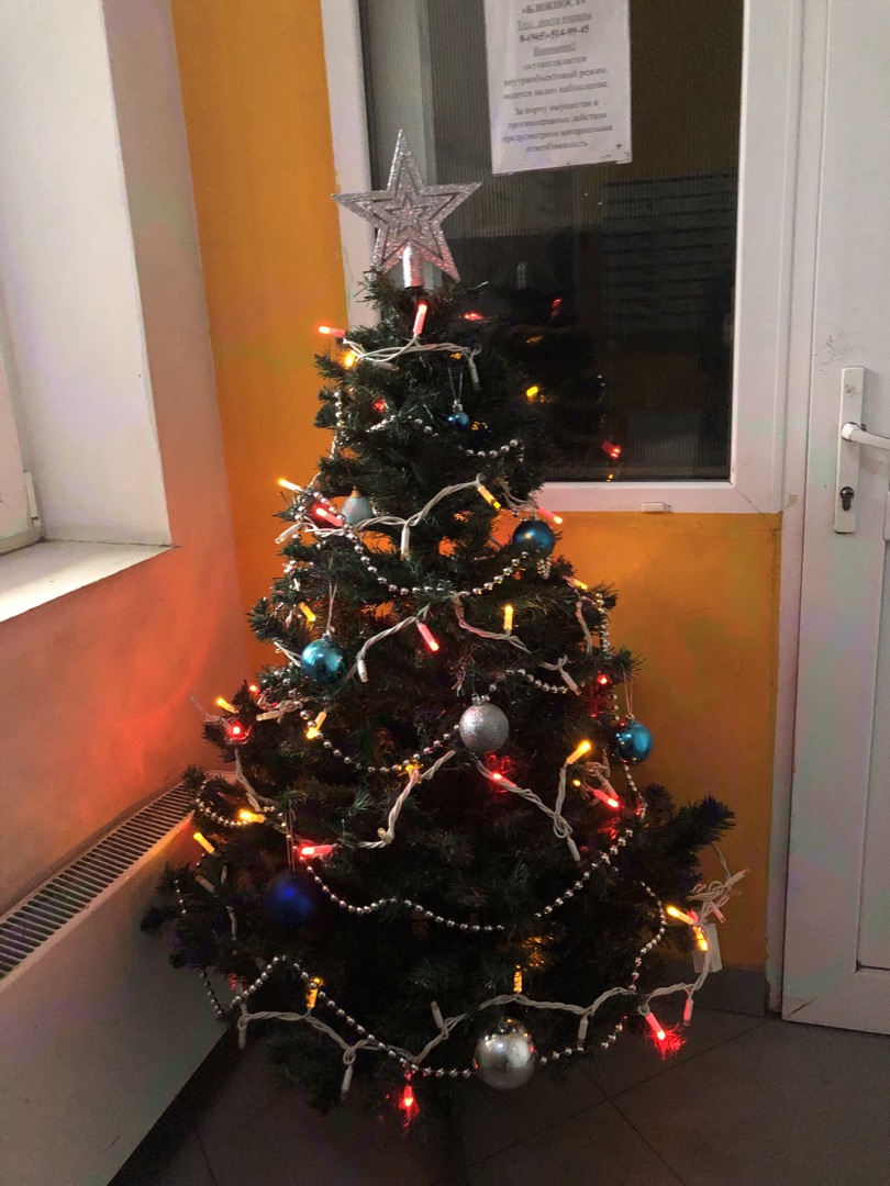 ёлка Тех14к2 2025.jpg ёлка Тех14к2 2025.jpg