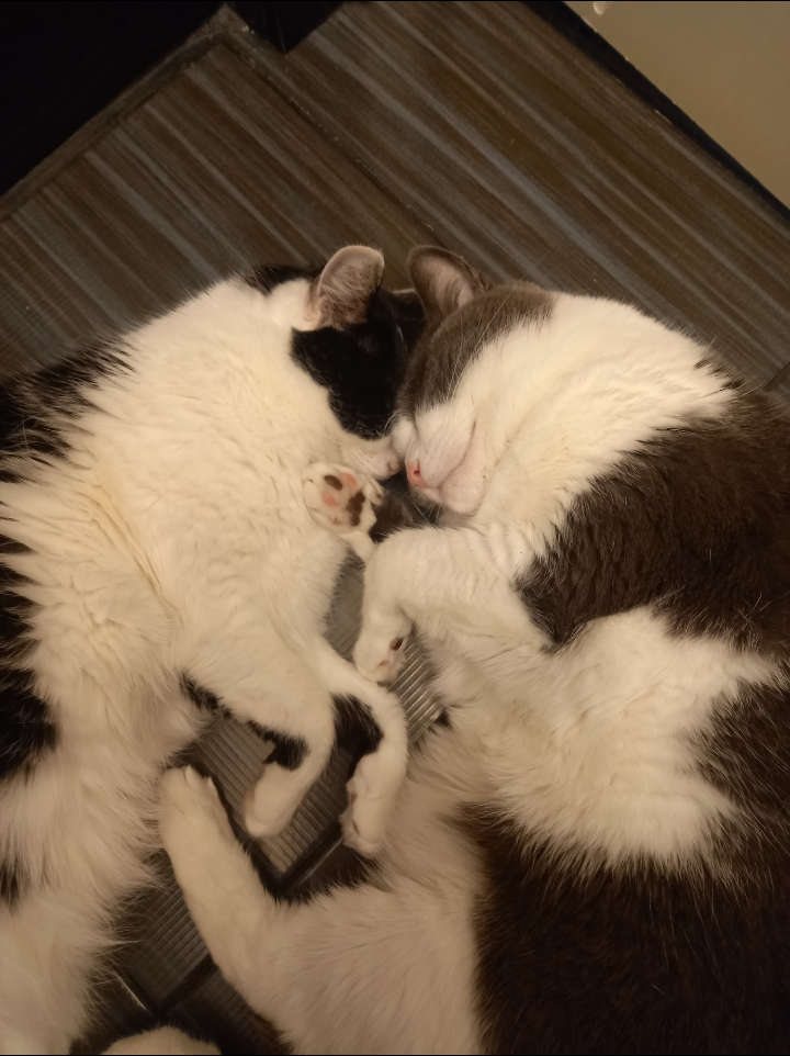 s-F11Kvwi9IjbFEpNyQn1lRRUjIY5MJZpIEj6Tq5mMh1L5ri-B30UCOuzxDTDyUsAWy9VcqGs5t1dm4ojfmkewJ7 (1).jpg.png