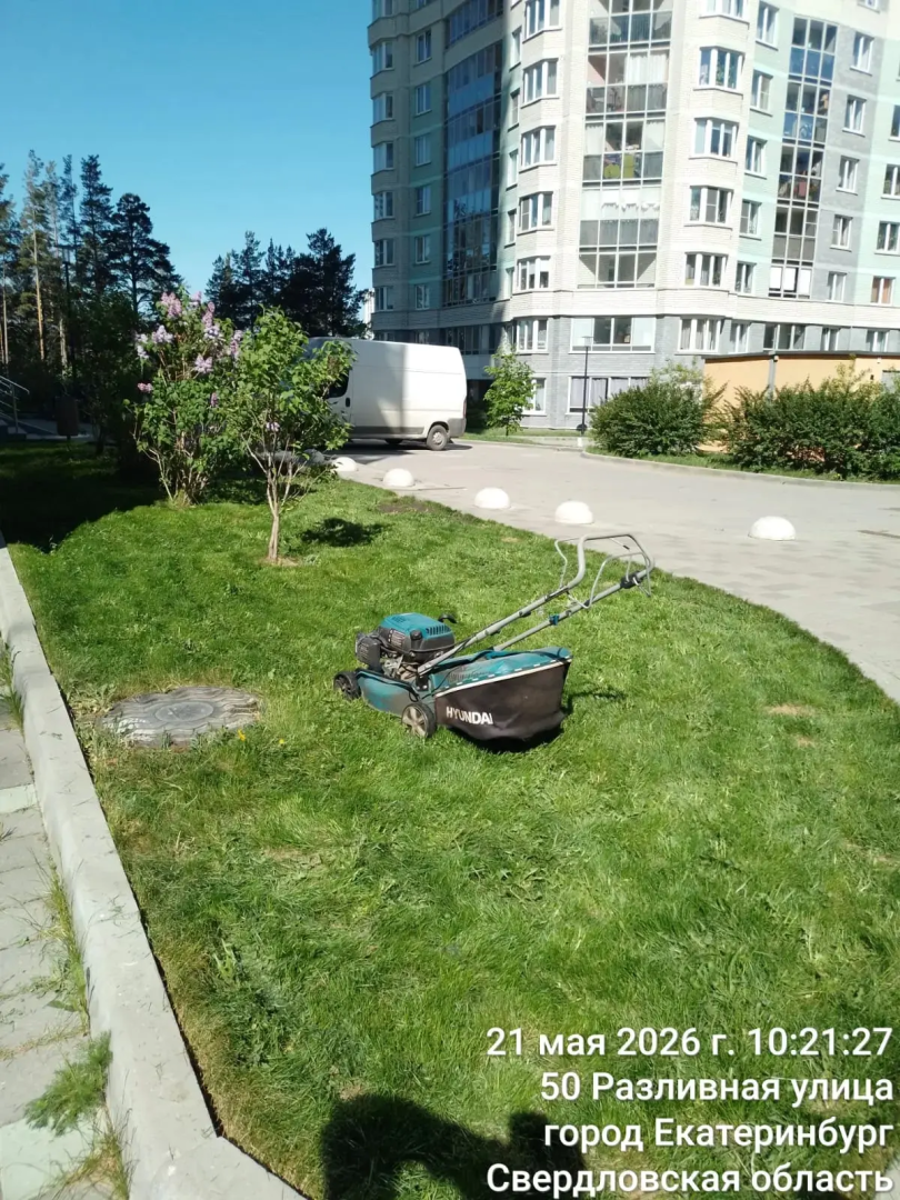 IMG_20260525_174028.jpg
