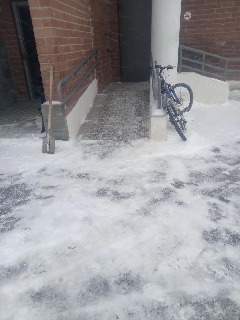03.03.26г. уборка во дворе.jpg