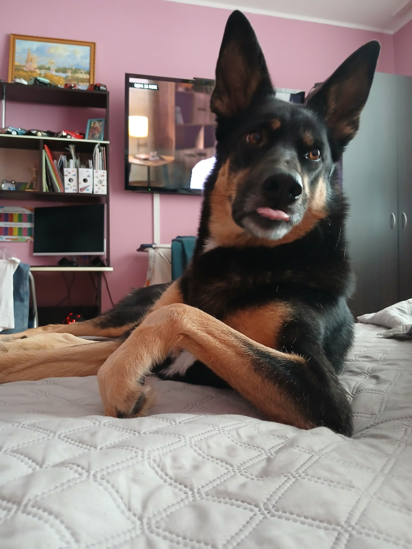 XwYvGWEt3GvBiXdUBGkS_Uc5m38-QtwzEzGuAv4W5rDXV-kcrq6wwriUafdhWHBh79SvPhTH3PBvDjiWf-vc1C1n (1).jpg