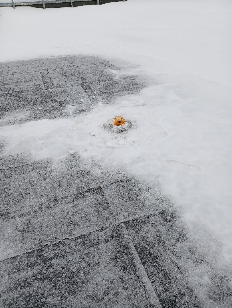 mobile_file_2026-02-16_06-26-25 (1) (1).jpg