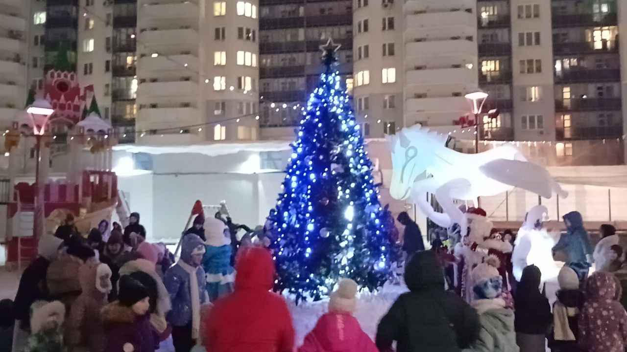 photo_5370591230963682962_y.jpg photo_5370591230963682962_y.jpg