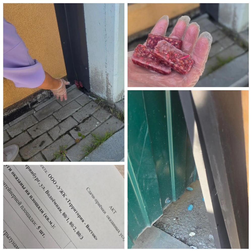 MyCollages (12).jpg