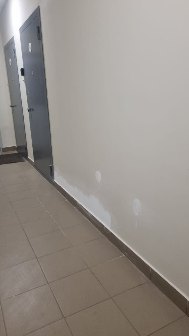 photo_5280825830361731956_y.jpg photo_5280825830361731956_y.jpg