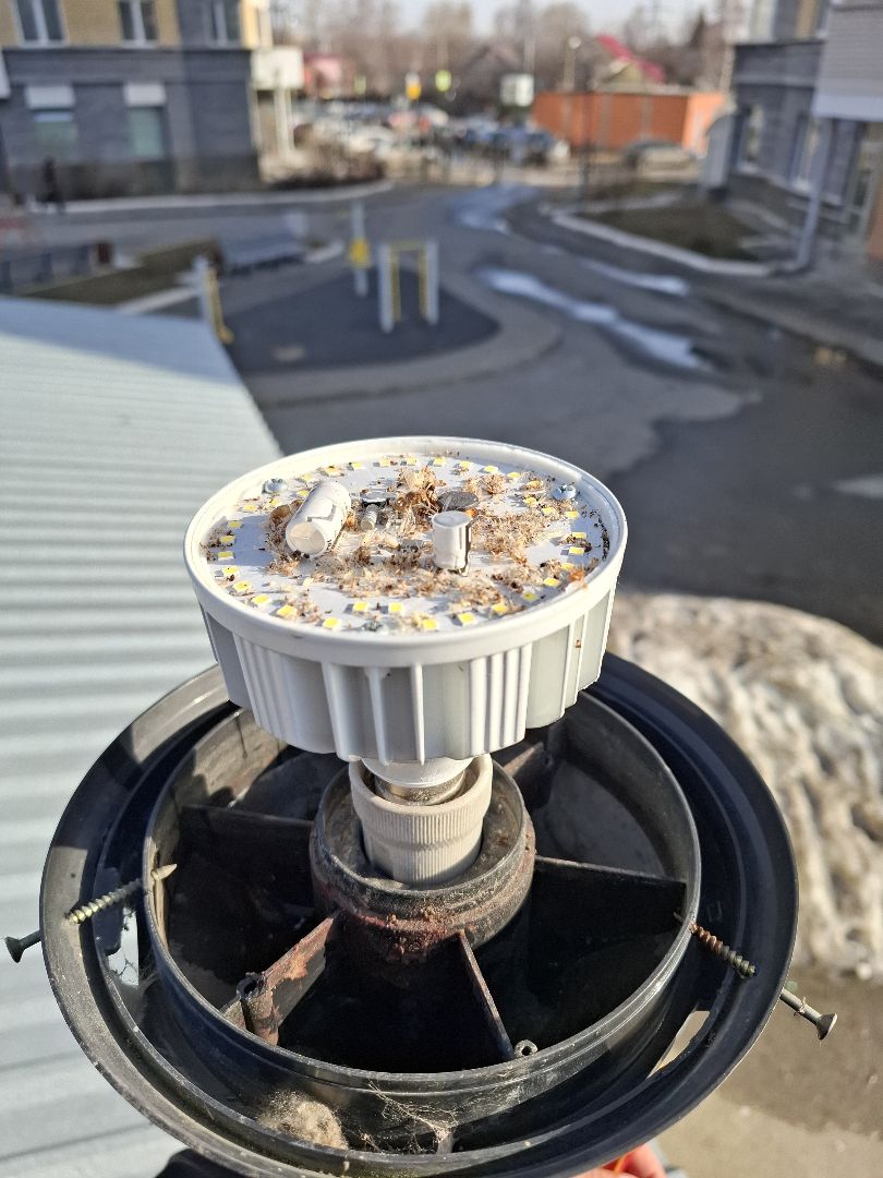 20260327_093734 (2).jpg