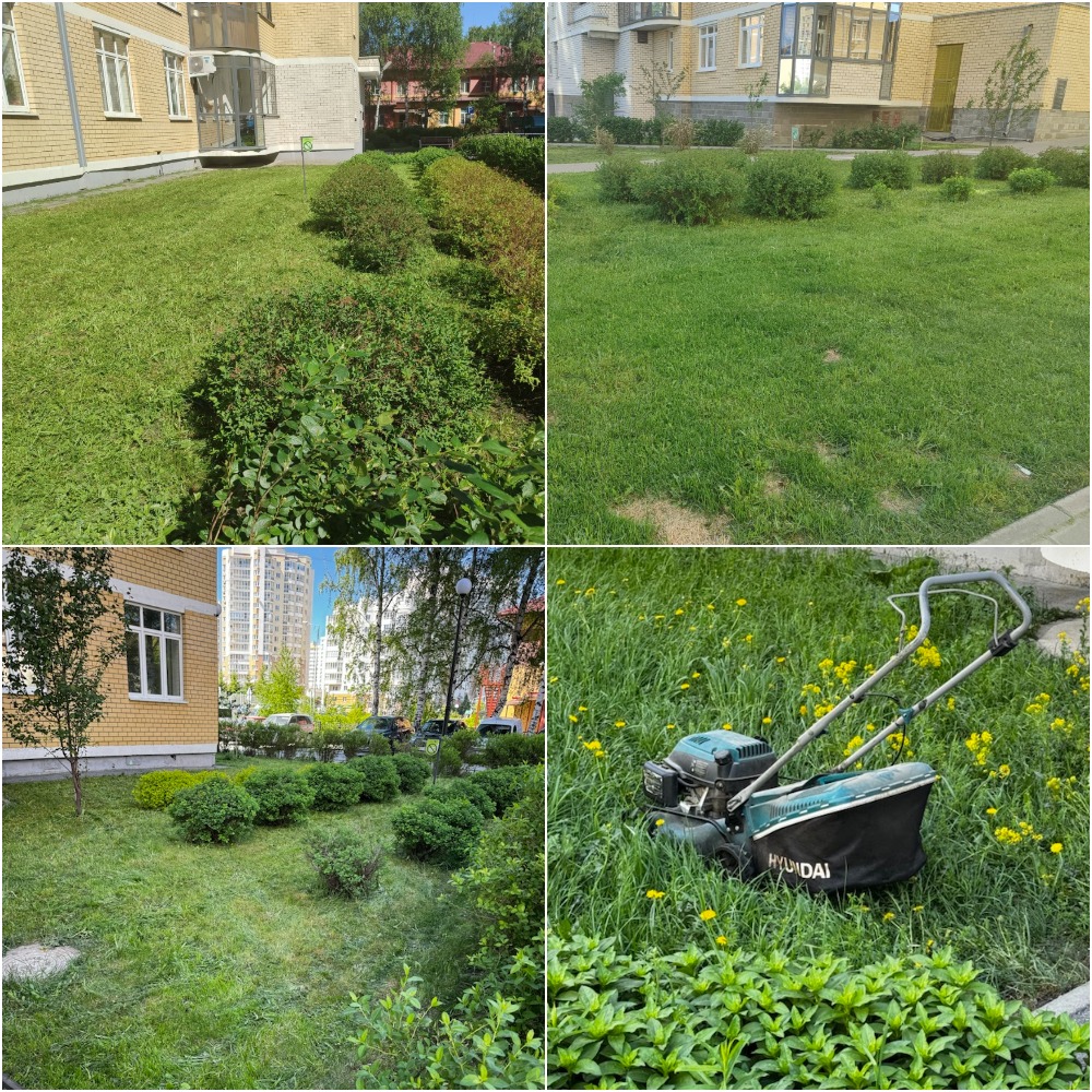 MyCollages (5) (1) (2).jpg