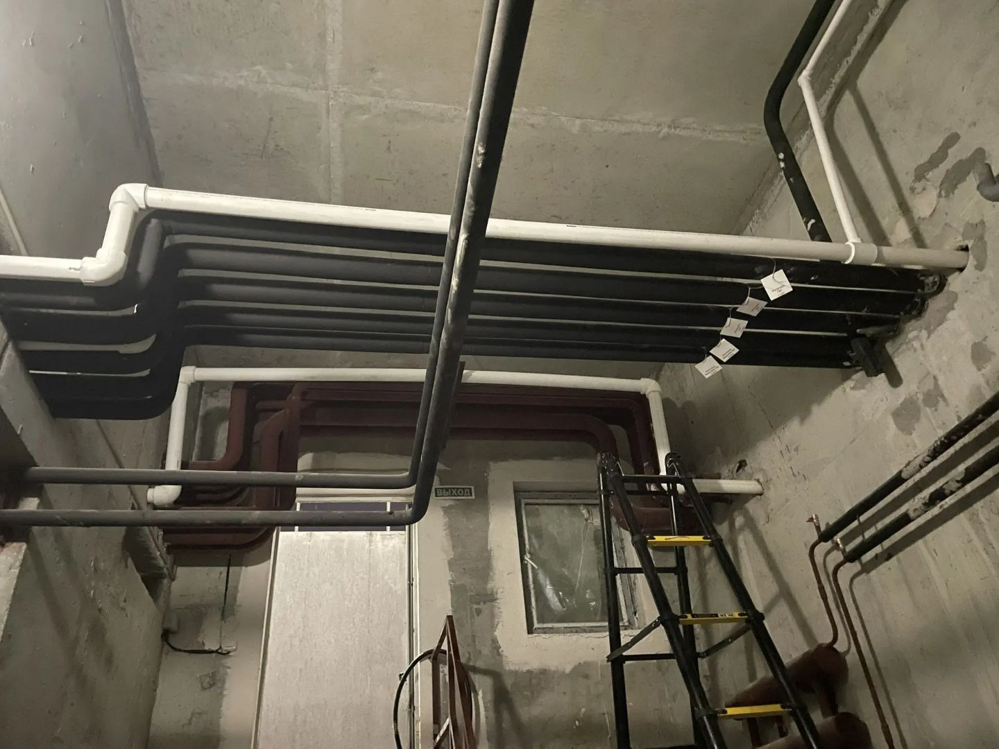 IMG_20260318_205359_474 (1).jpg