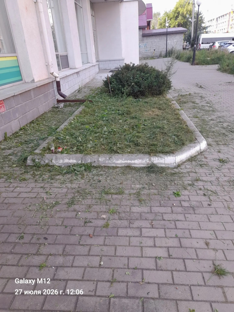 газон со строны ул. Победа.jpg