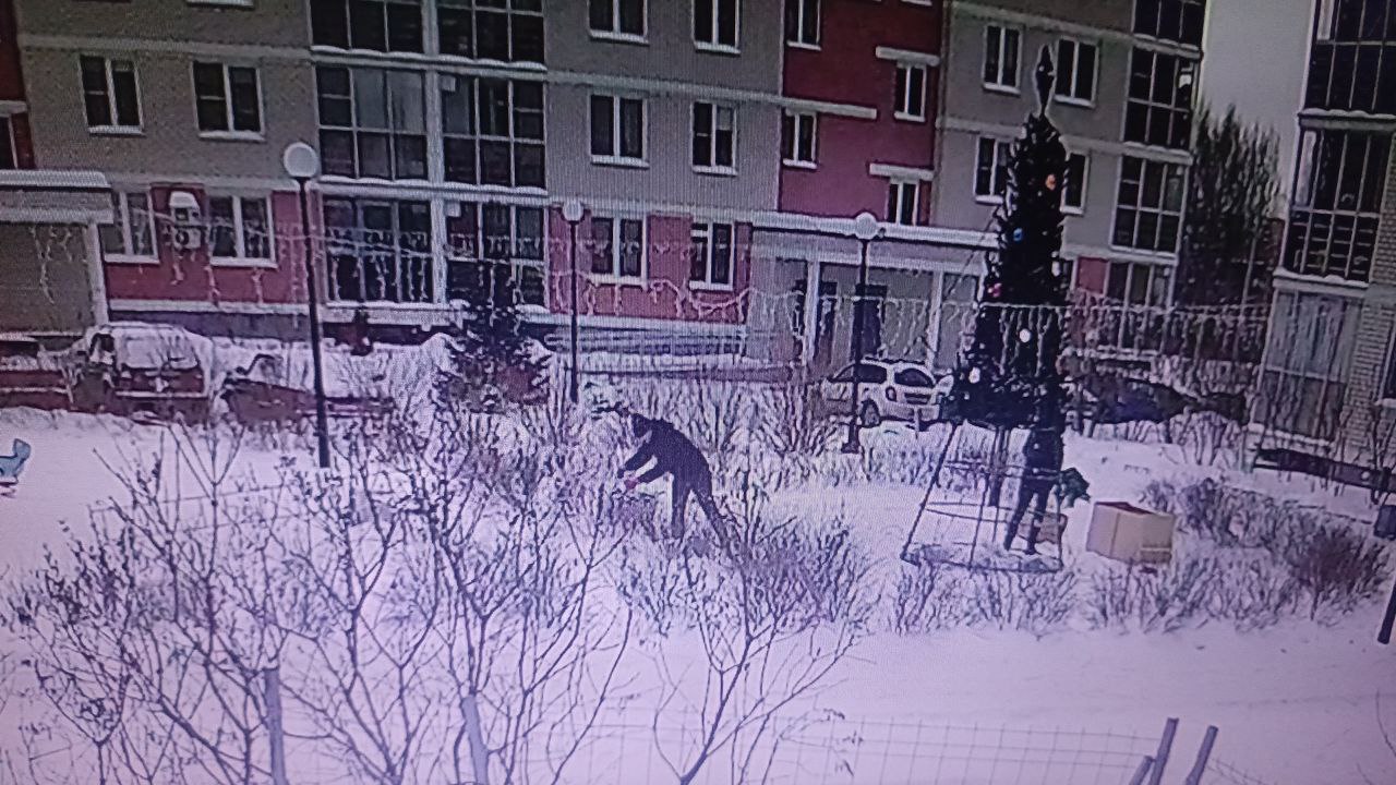 Демонтаж ёлки.jpg