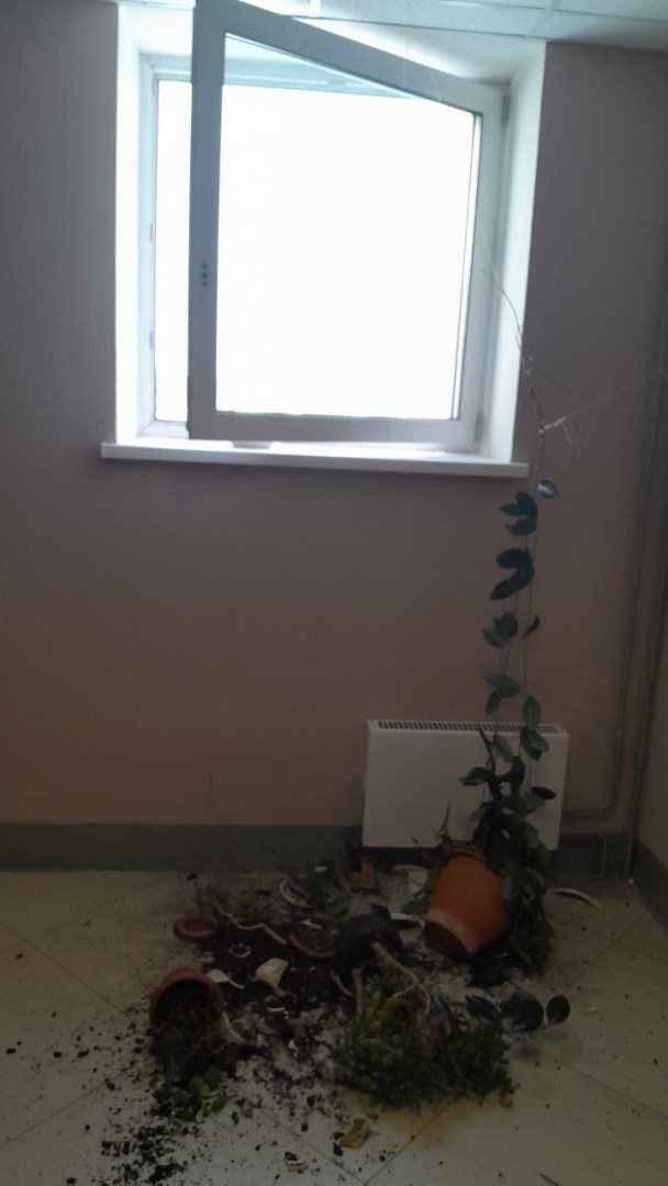 1s1eg2p676cd3enh2r4mryubdlv8653m.jpg 1s1eg2p676cd3enh2r4mryubdlv8653m.jpg