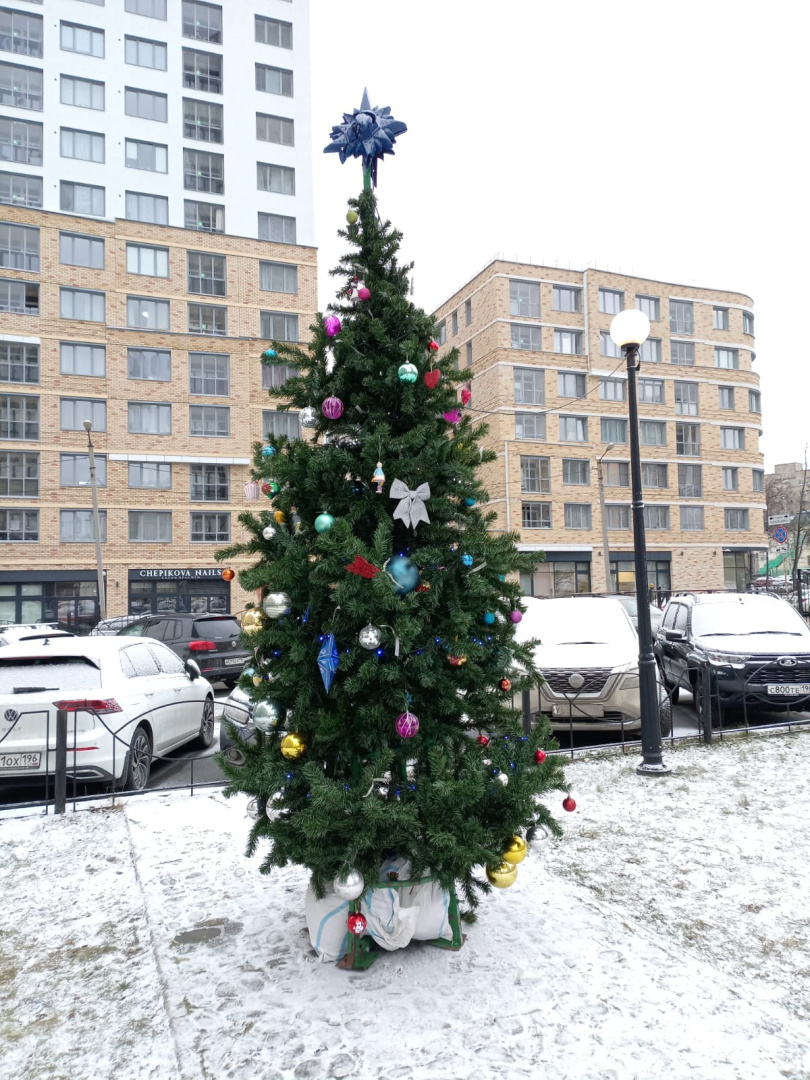 WhatsApp Image 2025-12-03 at 12.42.13.jpeg