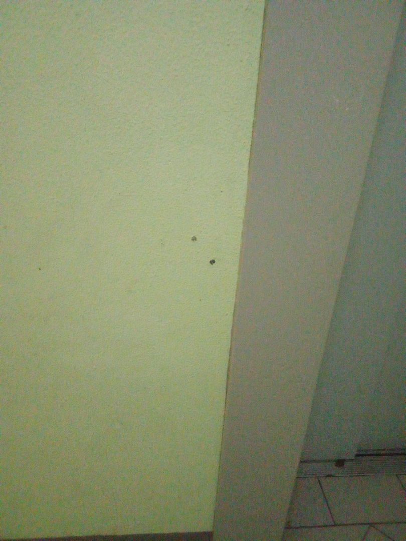 IMG_20260213_092754_318 (1).jpg