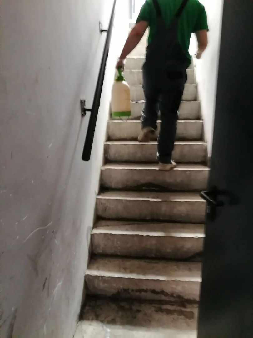 дезинсекция (1).jpeg дезинсекция (1).jpeg