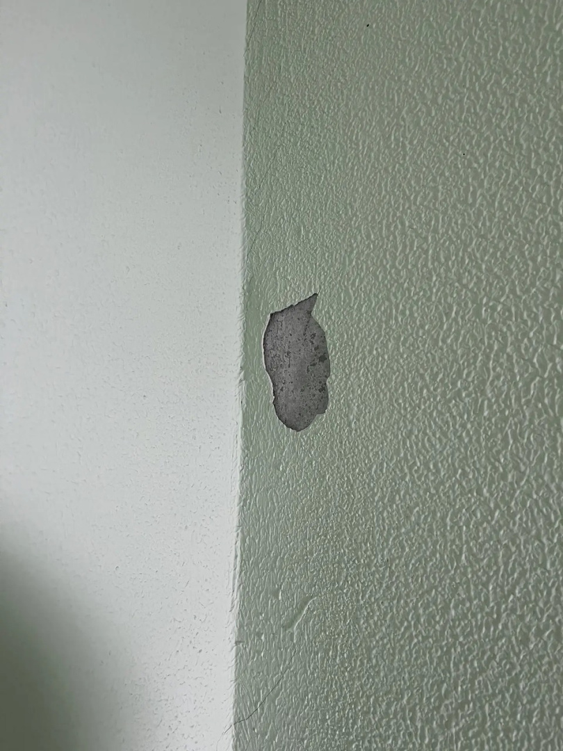 19.02. 6 подъезд, лестница 7-8 этаж на стене отслоение..jpg