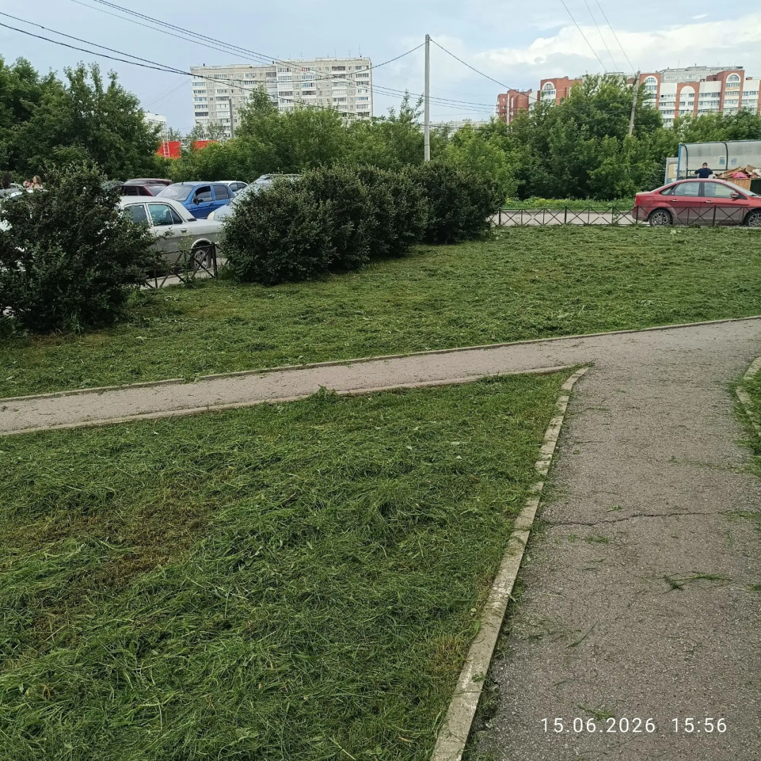 Техническая 14к2 покос травы 15.06.26 (4).png