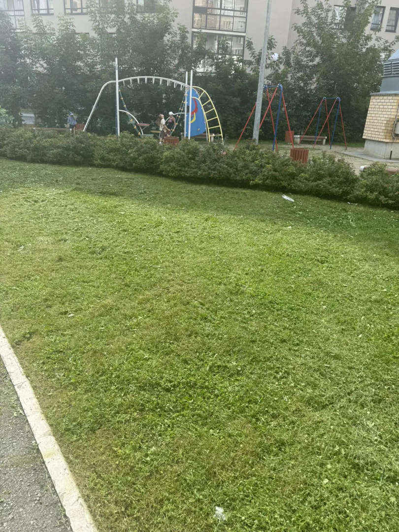IMG_20260807_112146.jpg