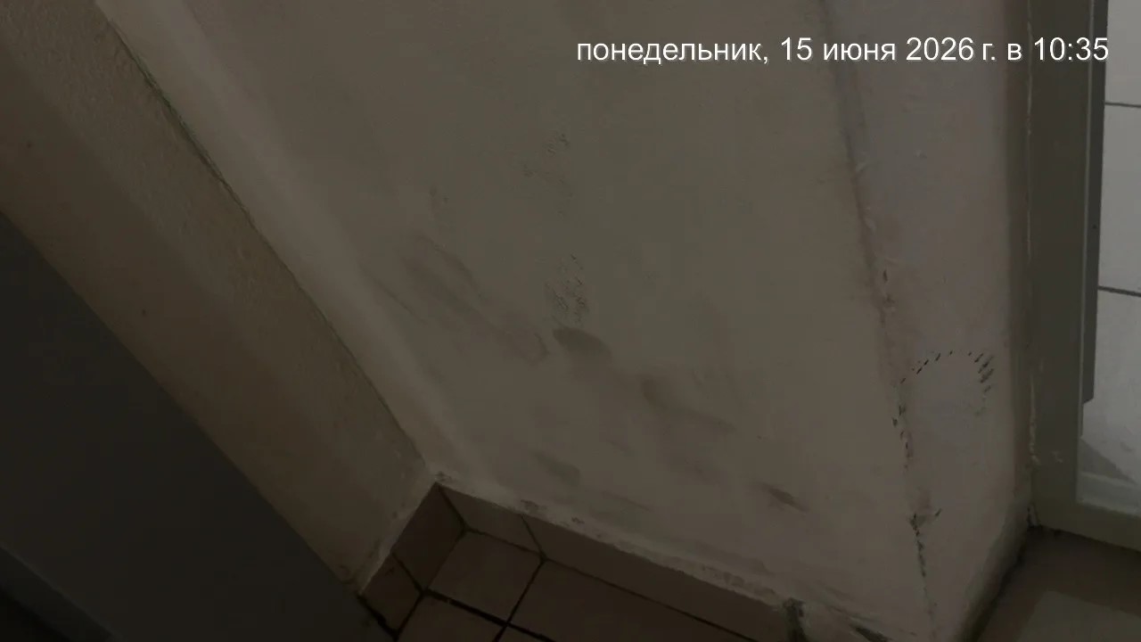 уборка до1.jpg