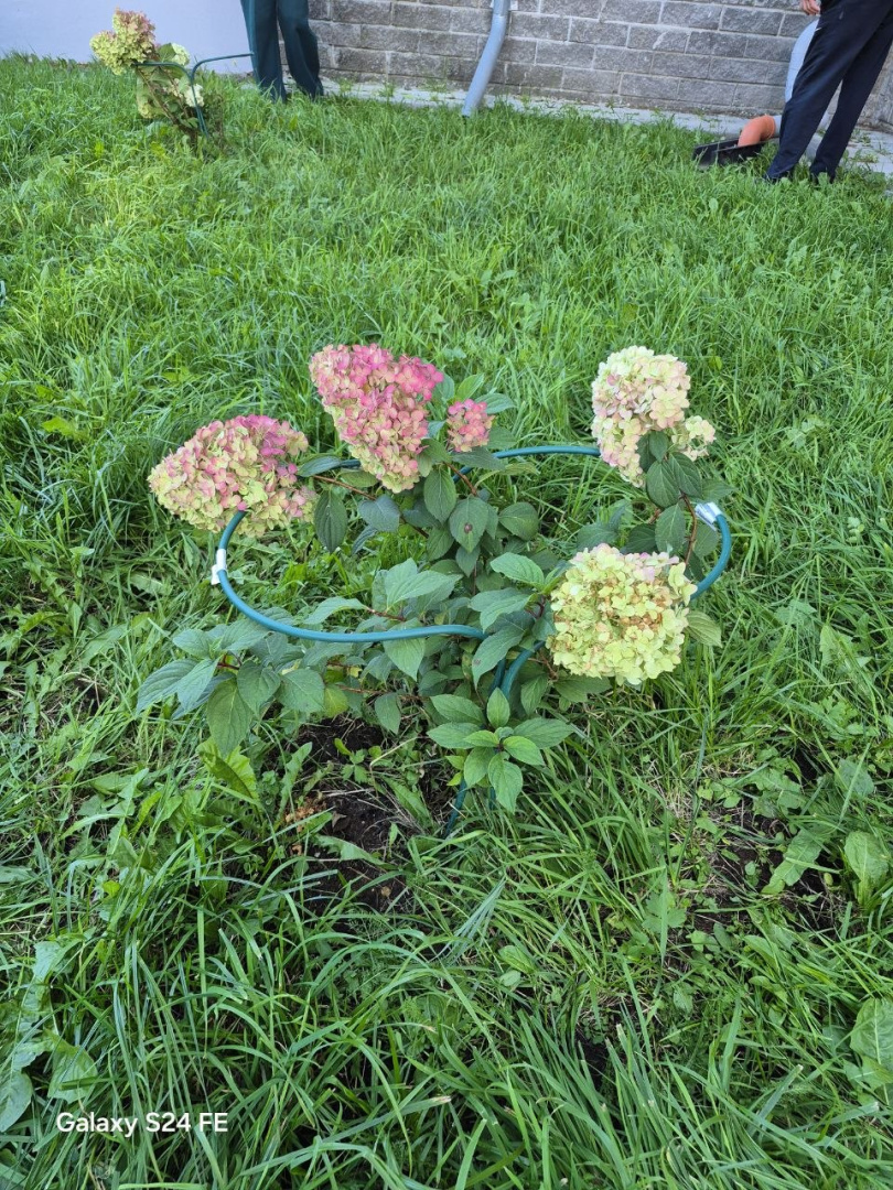IMG_6754.JPG