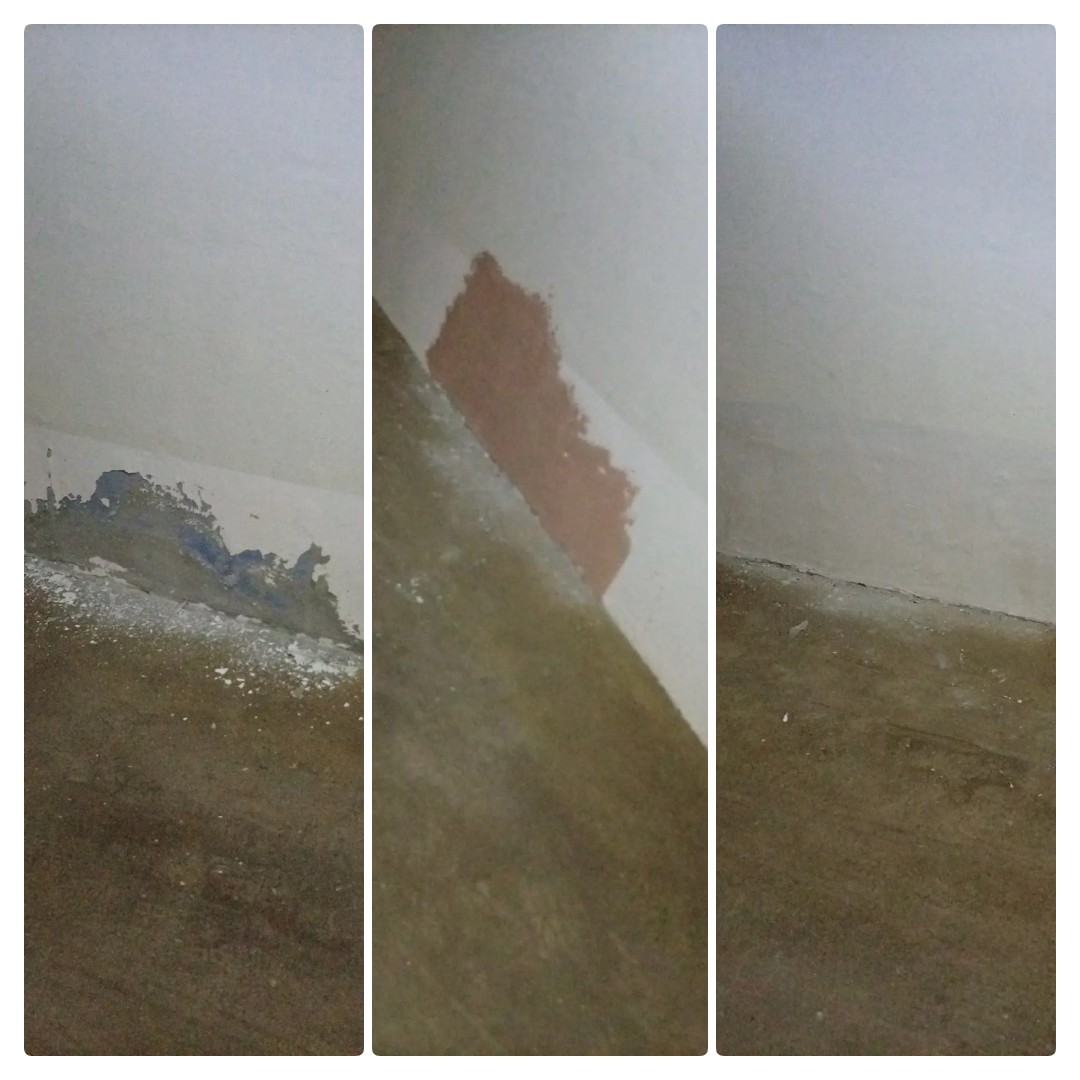 mycollages-2026-10-12_13-02-04.jpg