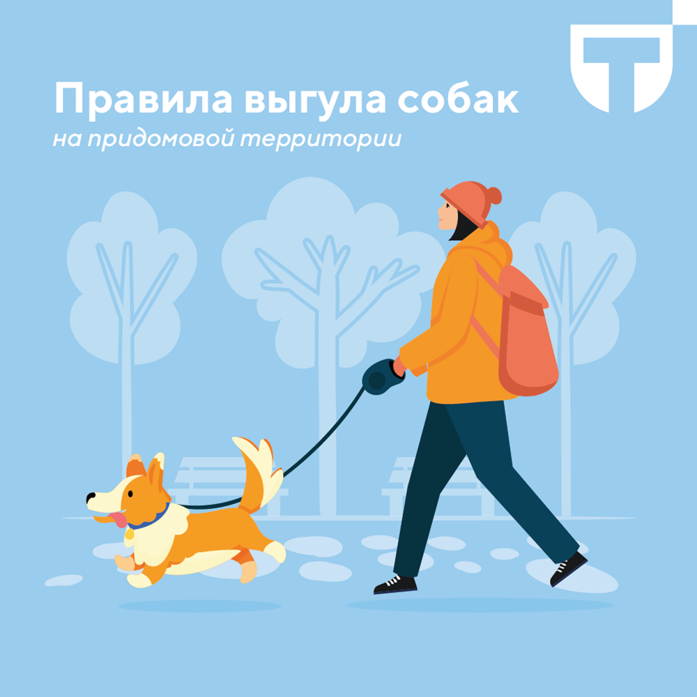 выгул собак (1).png