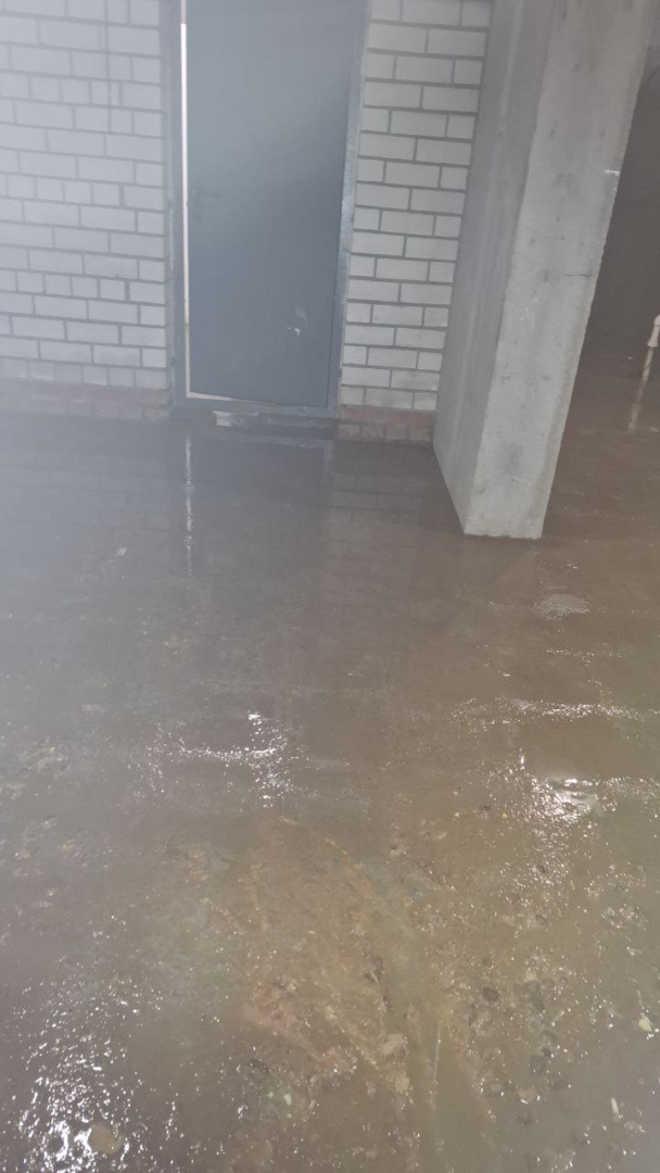 photo_2026-03-02_11-13-54 (2).jpg