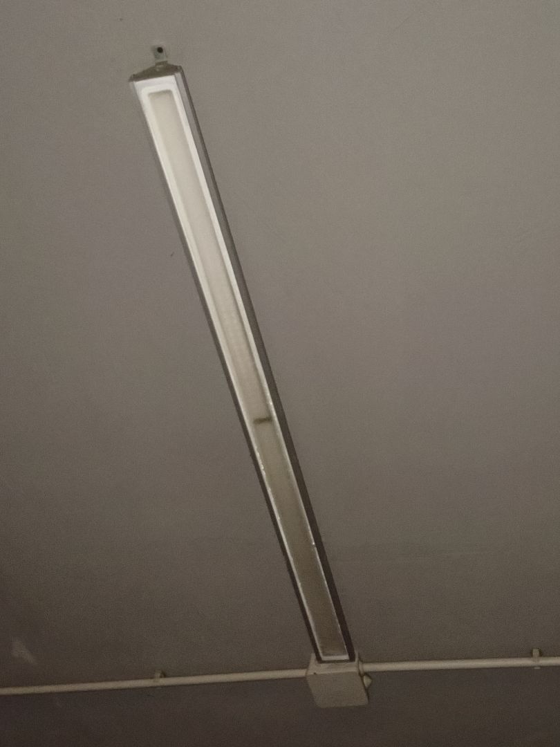 IMG_20260310_133214_550 (1).jpg