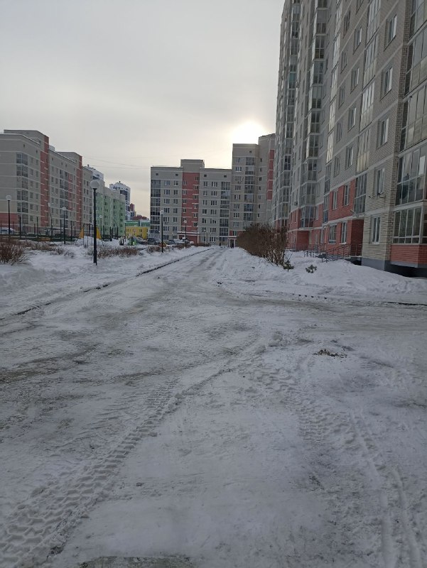 Е. Савкова, 3 вывоз снега.jpg