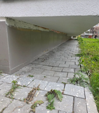 Screenshot_231.png
