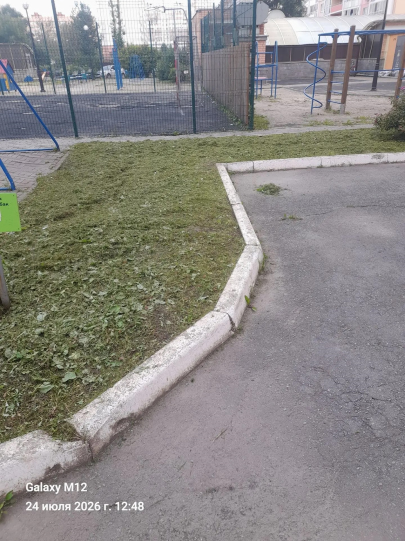 детская площадка.jpg