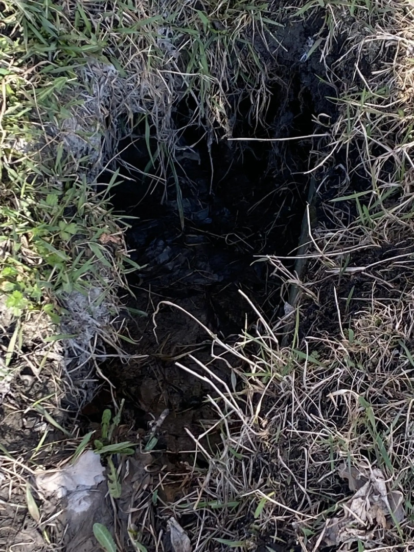 на газоне со стороны ул. Московская (район 3 подъезда) проседание грунта..jpg