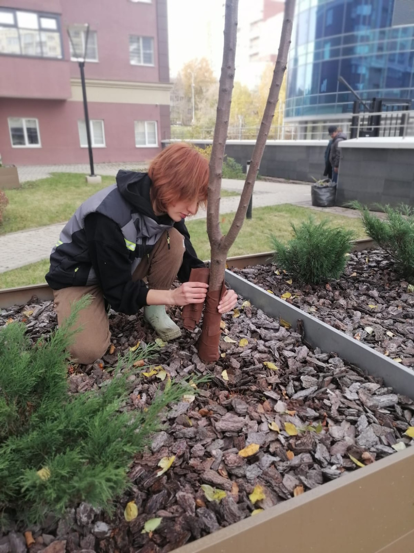 WhatsApp Image 2025-10-10 at 11.15.43 (1).jpeg WhatsApp Image 2025-10-10 at 11.15.43 (1).jpeg