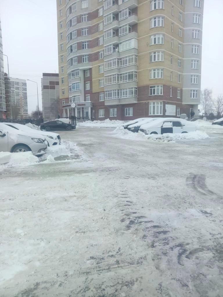 IMG_20260216_095245.jpg IMG_20260216_095245.jpg