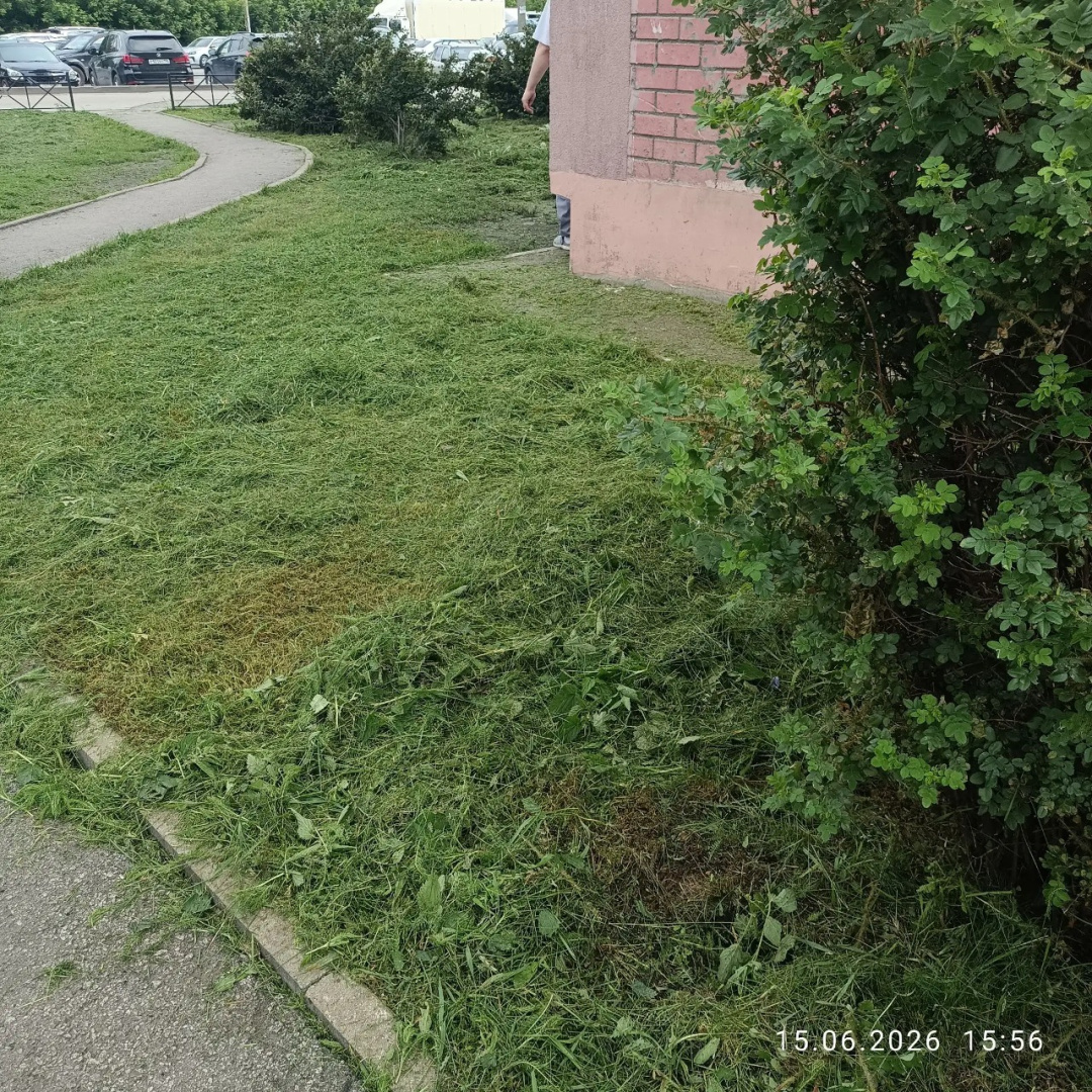 Техническая 14к2 покос травы 15.06.26 (5).png