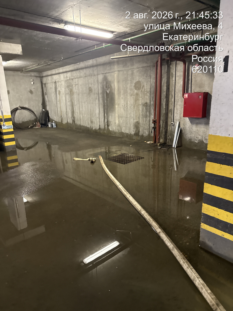 TC_00275.jpeg