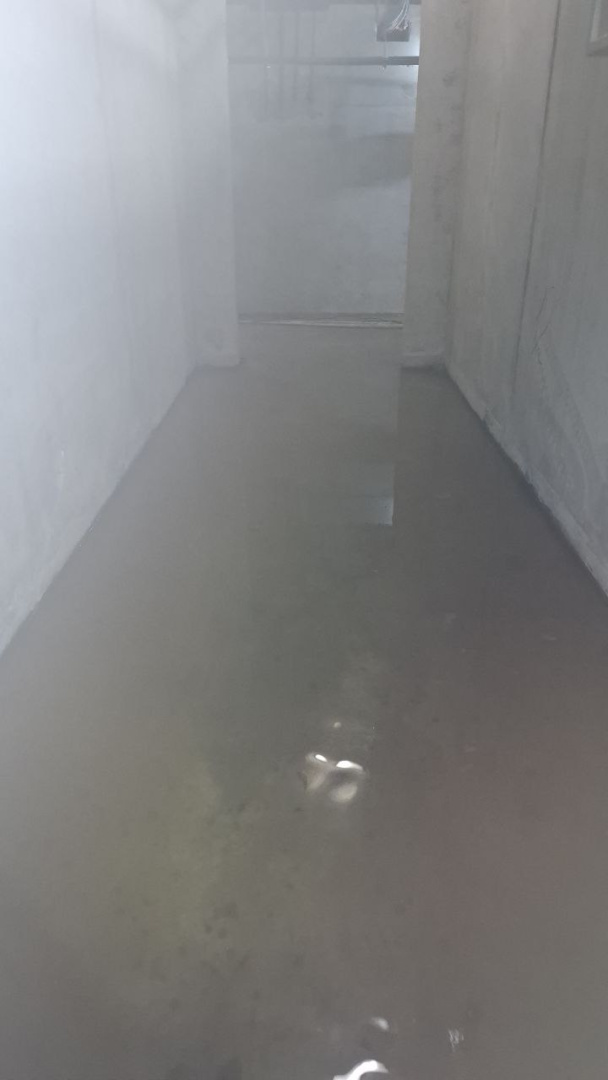 photo_2026-03-02_11-13-37 (2).jpg