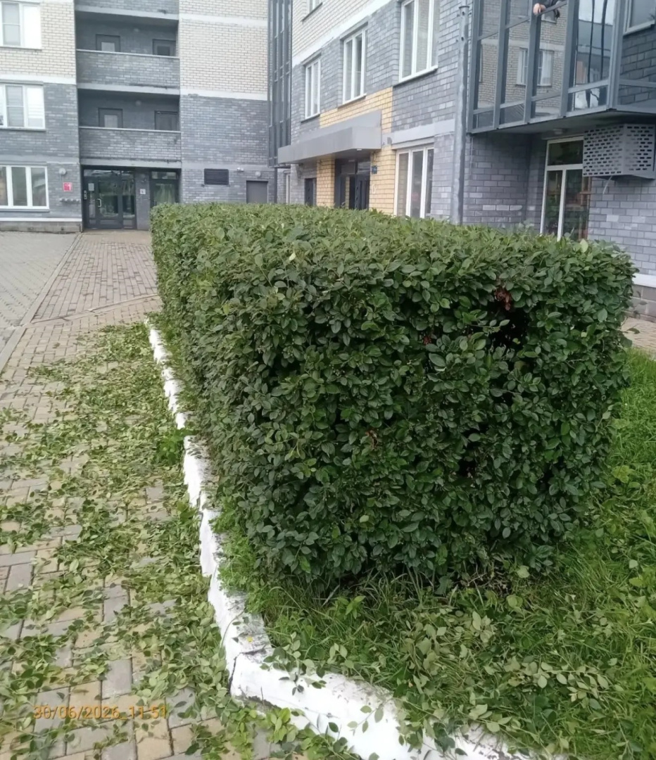 1 (363).jpg