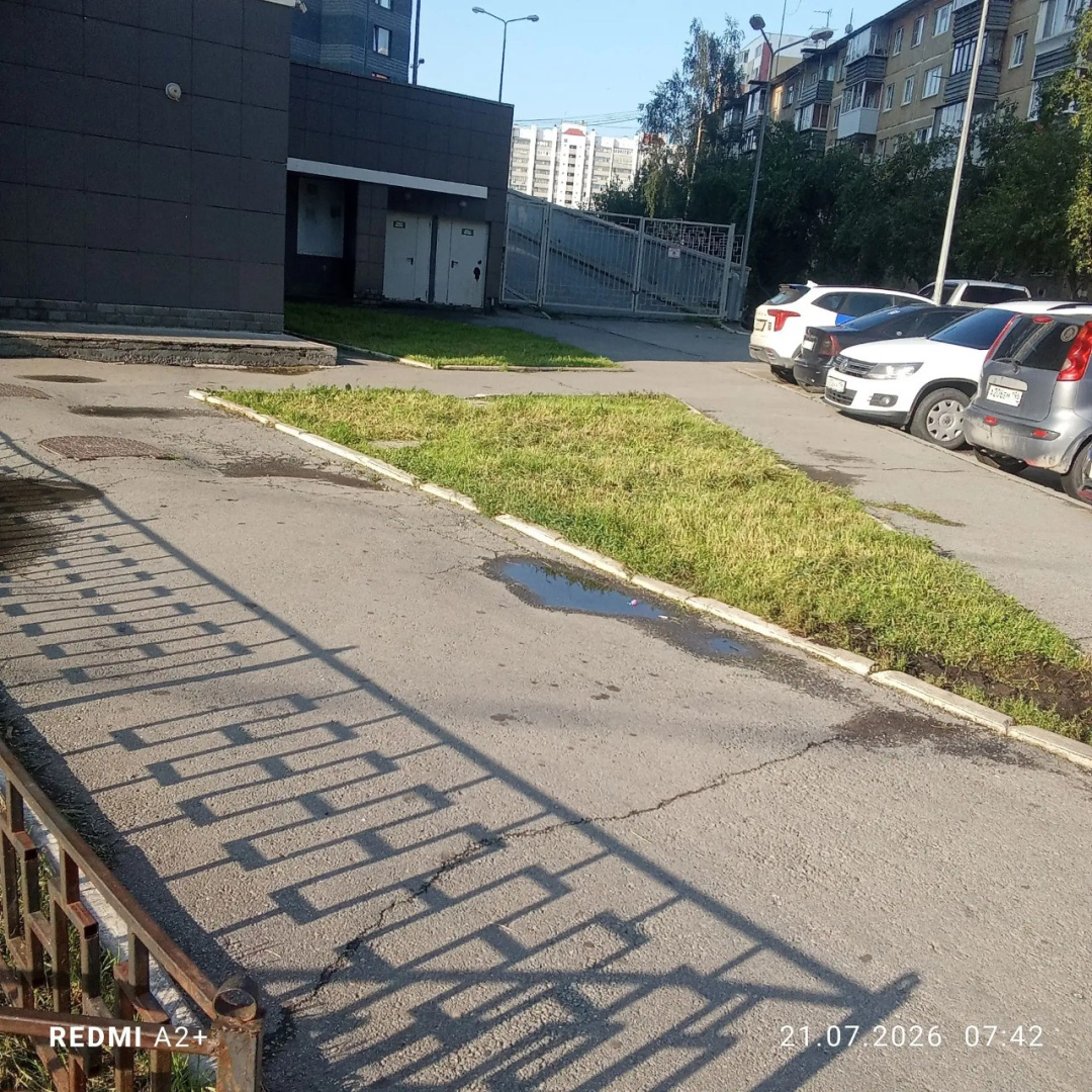 скос травы 21.07 (2).png