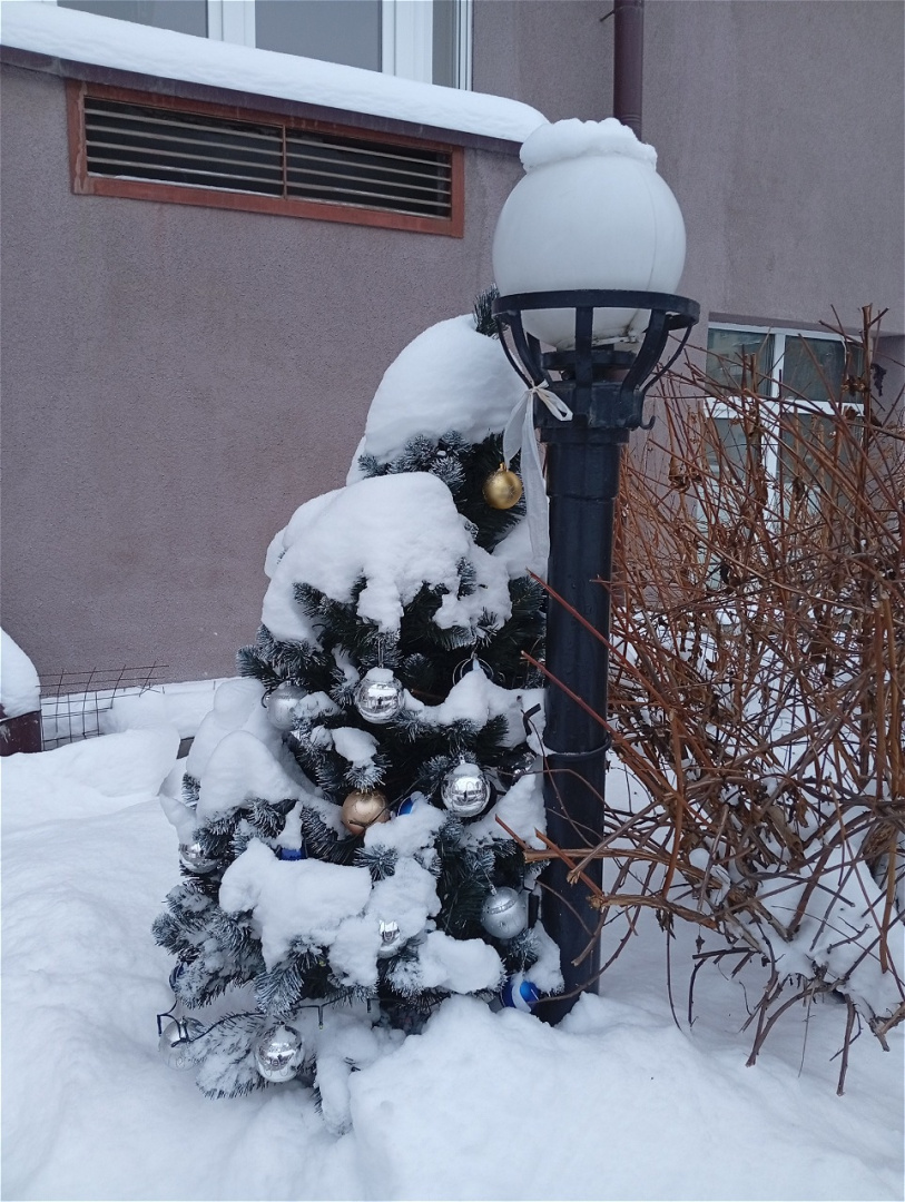 2025-12-22 15-49-16.JPG