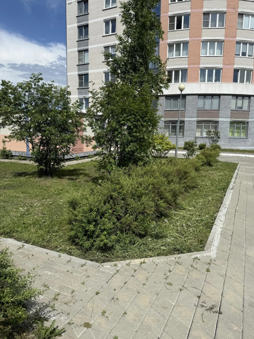 6 (39).jpg