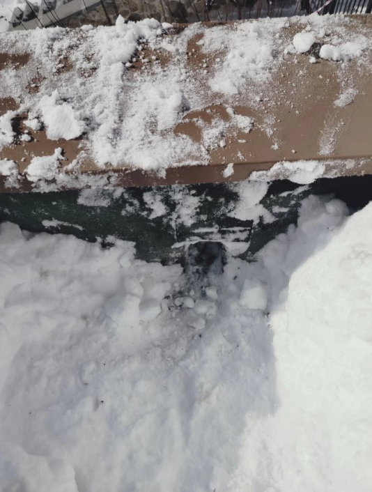 Screenshot_180 (1).png