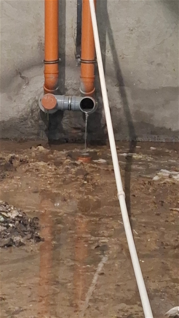 20260413_150646.jpg 20260413_150646.jpg